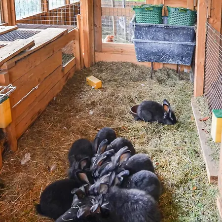 Lovely In Heideblick With Kitchen * Langengrassau