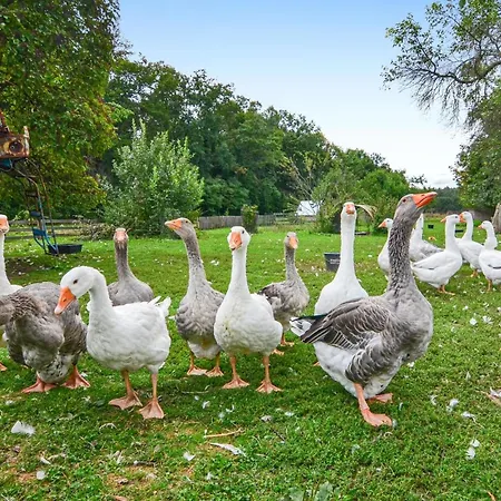 Nyaraló Lovely In Heideblick With Kitchen