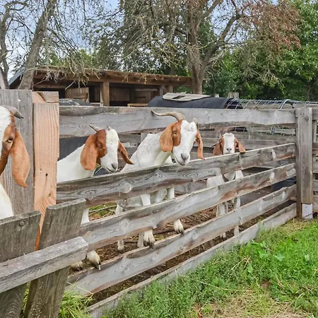 Lovely In Heideblick With Kitchen Сasa de vacaciones