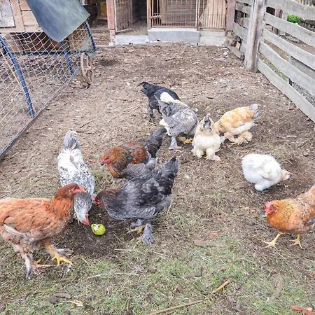 Lovely In Heideblick With Kitchen Nyaraló *