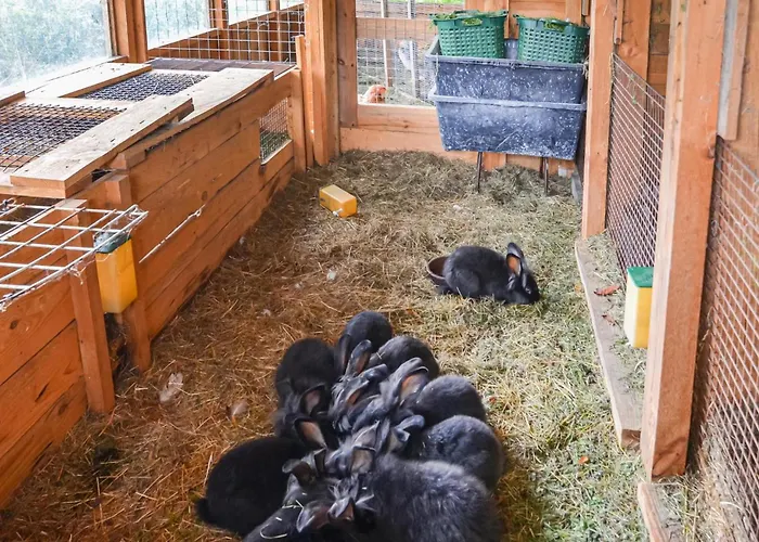 Lovely In With Kitchen * Heideblick