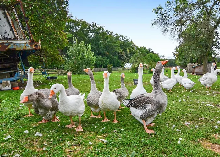 Semesterbostad Lovely In With Kitchen