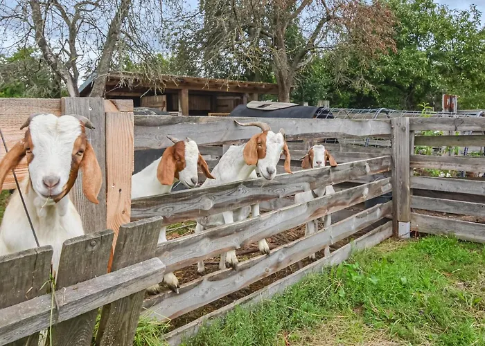 Lovely In With Kitchen Semesterbostad