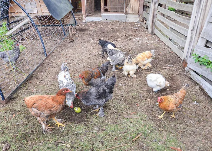 Lovely In With Kitchen Semesterbostad *